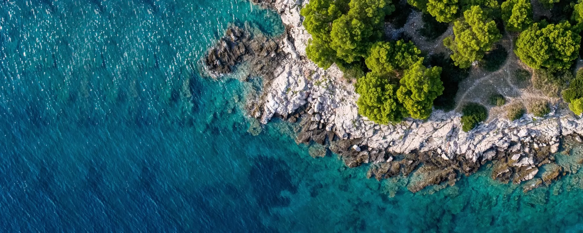 Công ty du lịch hàng đầu tại VN