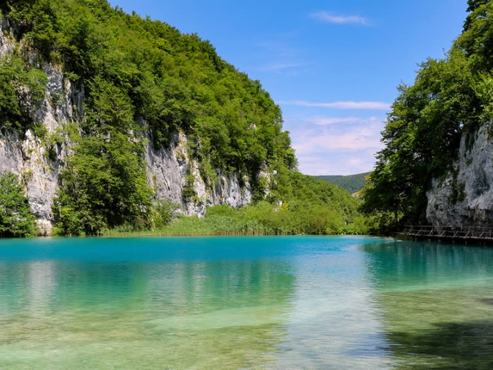 Tham quan đầm lầy Valiba và rừng nguyên sinh